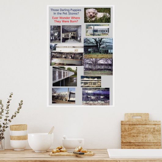 Welpe Mills Bree Misery Poster (Küche)