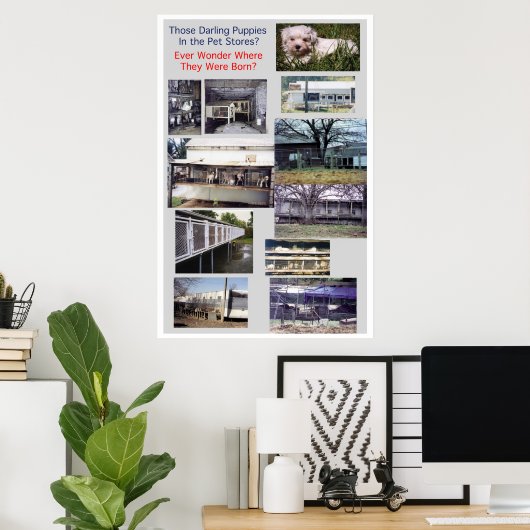 Welpe Mills Bree Misery Poster (Heimbüro)