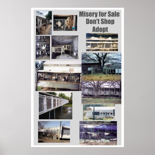 Welpe Mills Bree Misery Poster (Vorne)