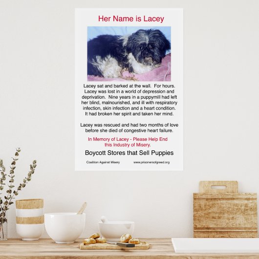 Welpe Mills Bree Misery Poster (Küche)