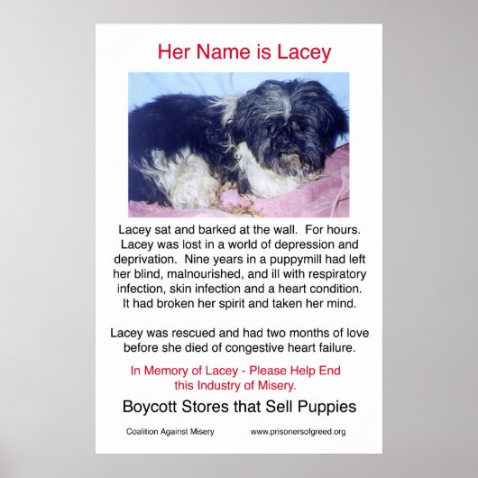 Welpe Mills Bree Misery Poster (Vorne)