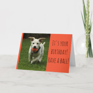 Welpe mit Ball Card Karte
