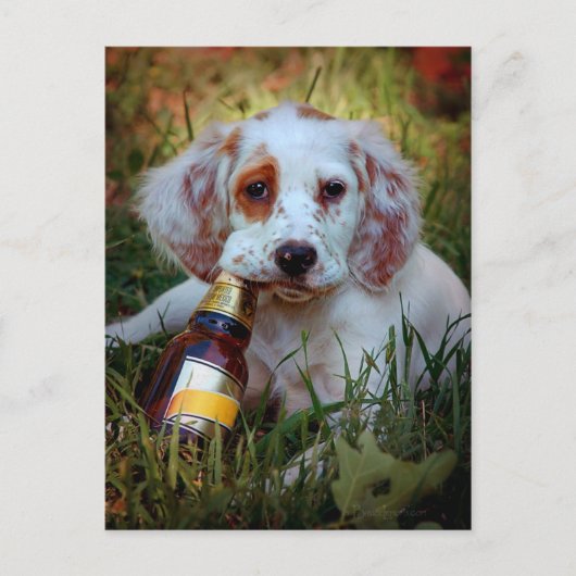 Welpe mit Bierflasche Postkarte (Vorderseite)