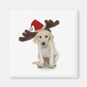 Welpe mit den Weihnachtsmannmütze-und Ren-Ohren Magnet