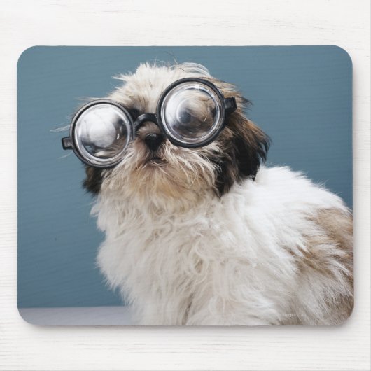 Welpe mit dicken Brillen Mousepad (Vorne)