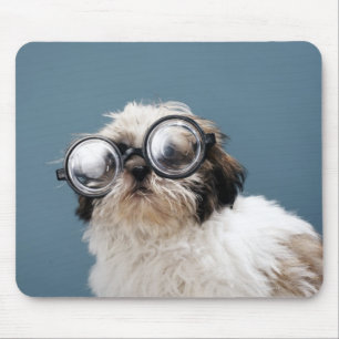 Welpe mit dicken Brillen Mousepad