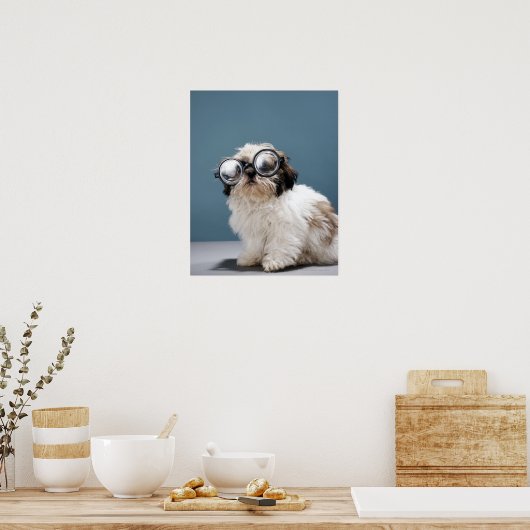 Welpe mit dicken Brillen Poster (Küche)