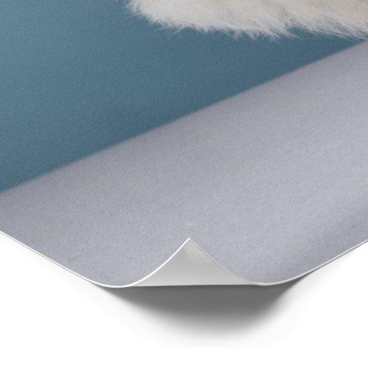 Welpe mit dicken Brillen Poster (Ecke)