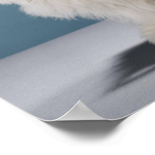 Welpe mit dicken Brillen Poster (Ecke)