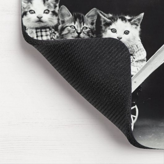 Welpe mit drei Kätzchen in der Beförderung Mousepad (Ecke)