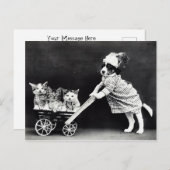 Welpe mit drei Kätzchen in der Beförderung Postkarte (Vorne/Hinten)