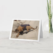 Welpe mit Hundehalsband Karte (Vorderseite)