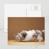 Welpe mit Kopf in Keksdose Postkarte (Vorne/Hinten)