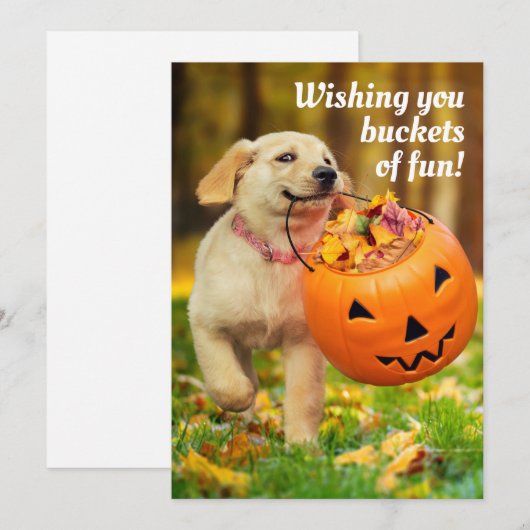 Welpe mit Kürbis Einladung (Vorne/Hinten)