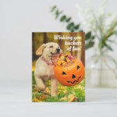Welpe mit Kürbiseimer Einladungspostkarte (Stehend Vorderseite)