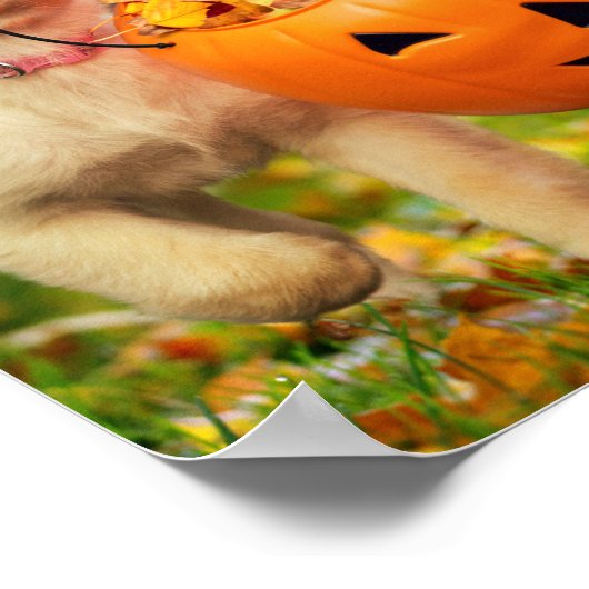 Welpe mit Kürbiseimer Poster (Ecke)