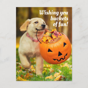 Welpe mit Kürbiskürbis Einladungspostkarte