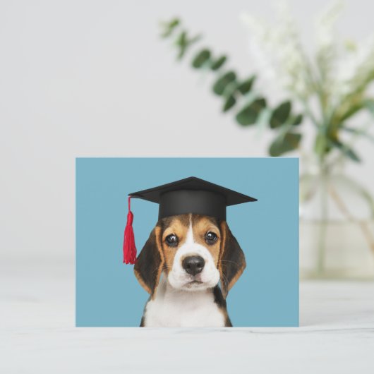 Welpe mit niedlichem Beagle in einem Graduierungsd Postkarte (Stehend Vorderseite)