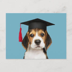 Welpe mit niedlichem Beagle in einem Graduierungsd Postkarte