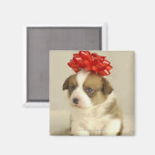 Welpe mit rotem Bogen Magnet (Vorderseite/Rückseite)