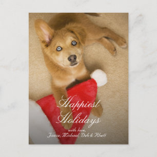 Welpe mit Weihnachtsmann-Hut Feiertagspostkarte