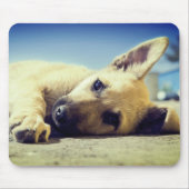 Welpe Mousepad (Vorne)