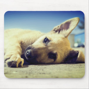 Welpe Mousepad