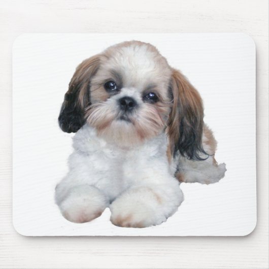 Welpe Mousepad Shih Tzu (Vorne)