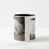 Welpe mustert maltesische kundenspezifische Tasse (Mittel)