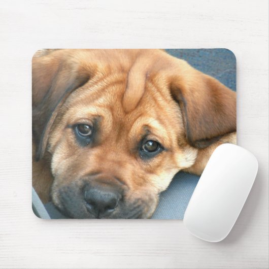 Welpe mustert Mousepad (Mit Mouse)