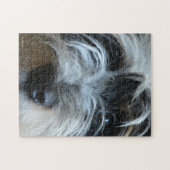 Welpe mustert Puzzlespiel Puzzle (Horizontal)