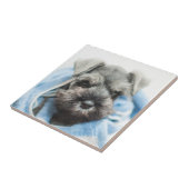 Welpe nach Bad Fliese (Seite)