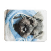 Welpe nach Bath Magnet (Horizontal)