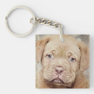 Welpe, Natur, Hund Schlüsselanhänger