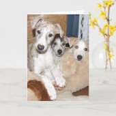 Welpe-notecard Karte (Gelbe Blume)