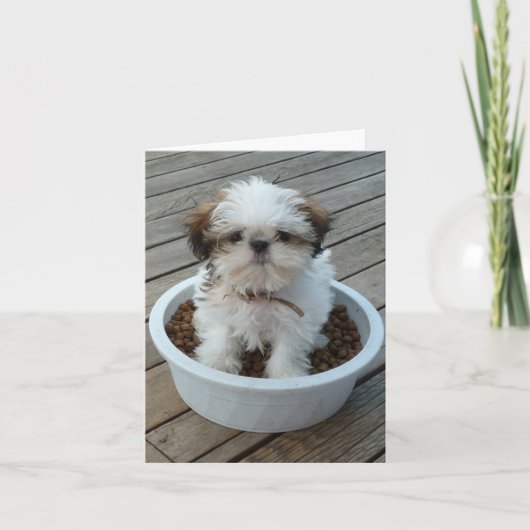 Welpe Notecards Shih Tzu Karte (Vorderseite)