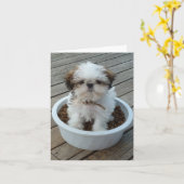 Welpe Notecards Shih Tzu Karte (Gelbe Blume)