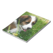 Welpe Notizblock (Rotiert)