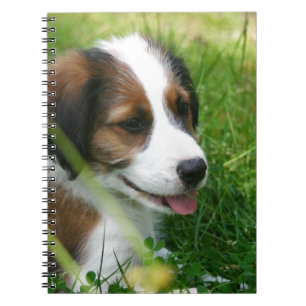Welpe Notizblock