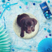 Welpe Pappteller (Party)