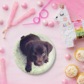 Welpe Pappteller (Party)