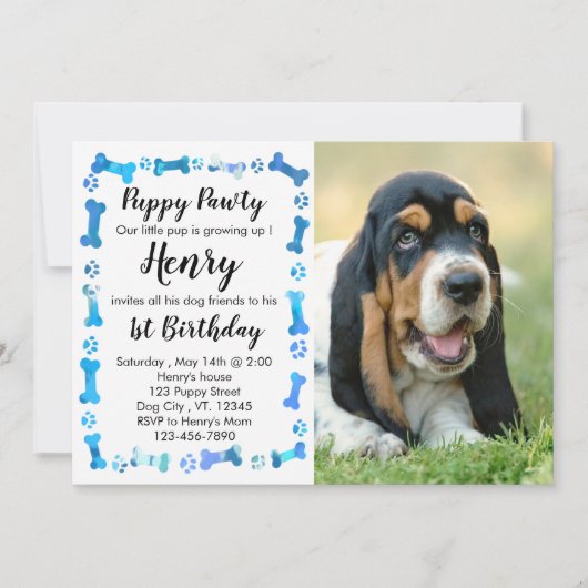 Welpe Pawty - Blue Boy Pet - Hund Birthday Puppy Einladung (Vorderseite)