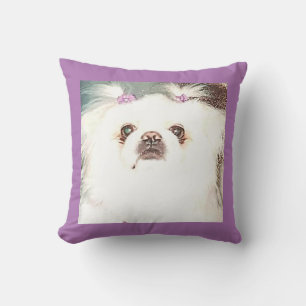 Welpe/Pekingese werfen Kissen. Kissen