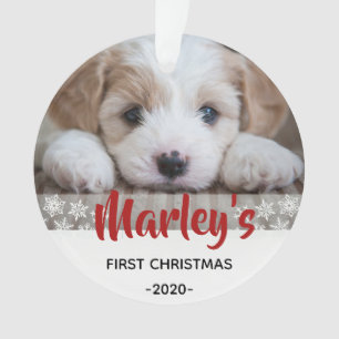 Welpe Picture Ornament - Erste Weihnachtszeit -