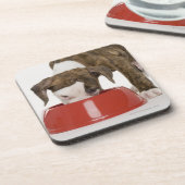 Welpe pitbull, das aus Teller heraus isst Untersetzer (Linke Seite)