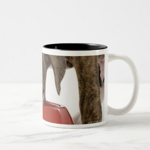 Welpe pitbull, das aus Teller heraus isst Zweifarbige Tasse