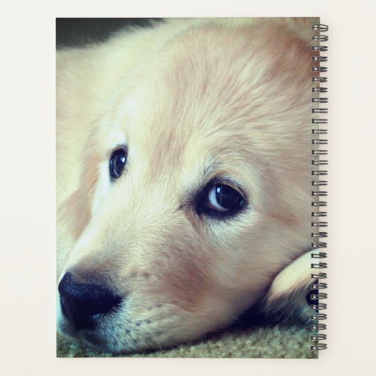 Welpe Planer (Rückseite)