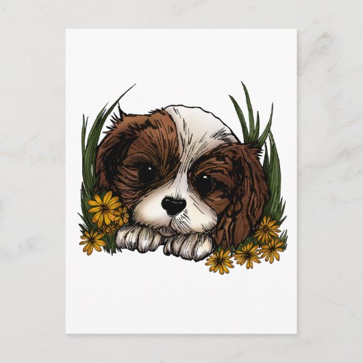 Welpe Postkarte (Vorderseite)