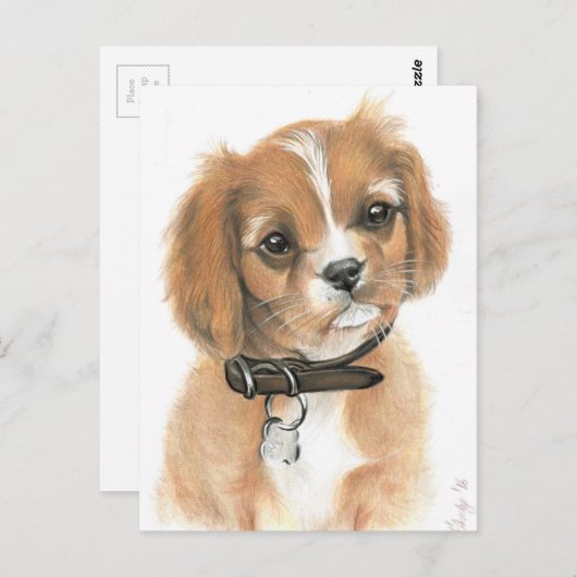 Welpe Postkarte (Vorne/Hinten)