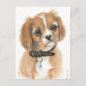 Welpe Postkarte (Vorderseite)